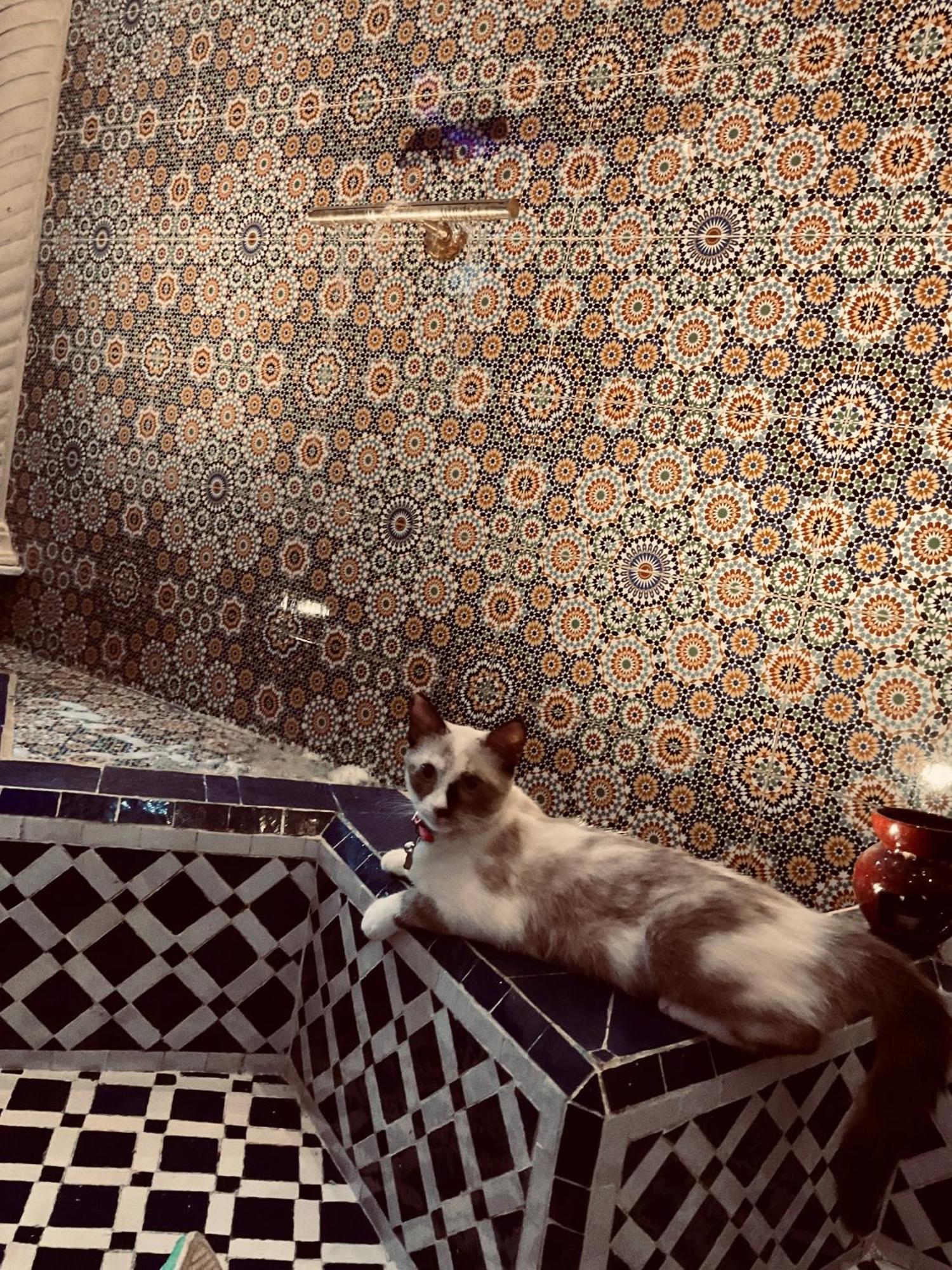 Riad Lalla Merieme Marrakesh Extérieur photo
